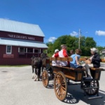 Horse-drawn buggy with six people riding down a street past a red mill building labeled 'Needlers Mill' on a sunny day.