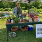 Smiling woman at a garden market stall under a canopy, with potted plants and herbs on a green table and baskets beneath; sign reads Foxglove Botanicals.